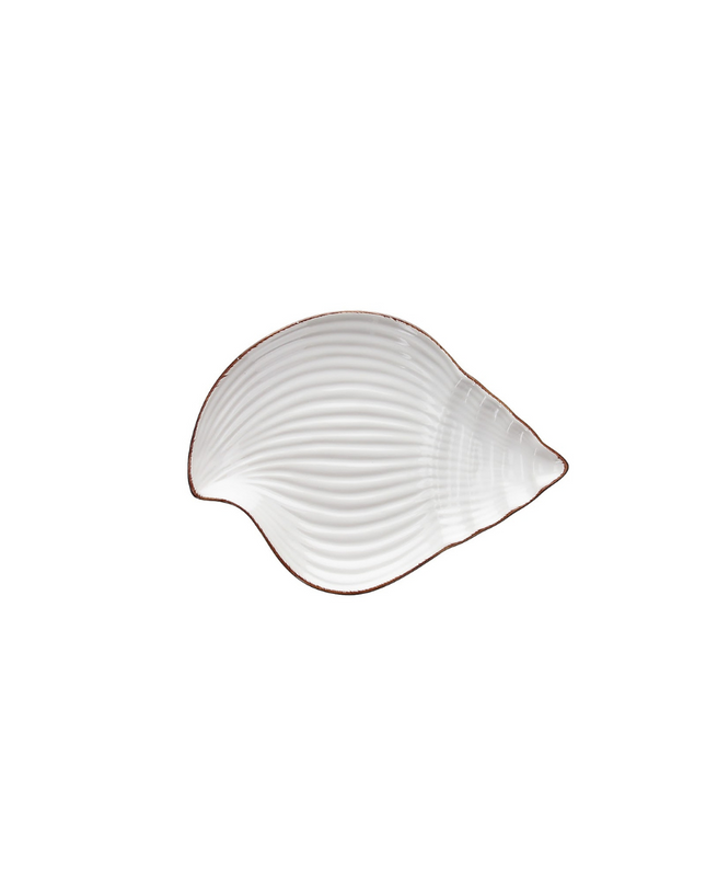 Tognana Small Seashell Shaped Bowl Cm21X16 Relief Dory White